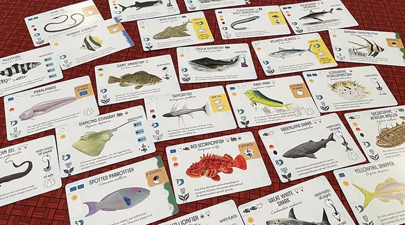 Finspan board game review