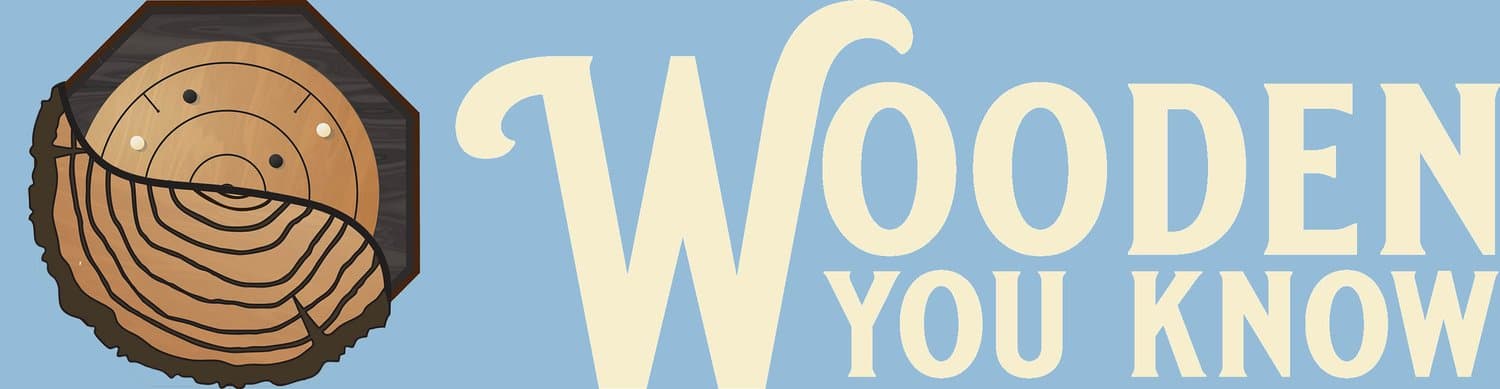 Crokinole background banner